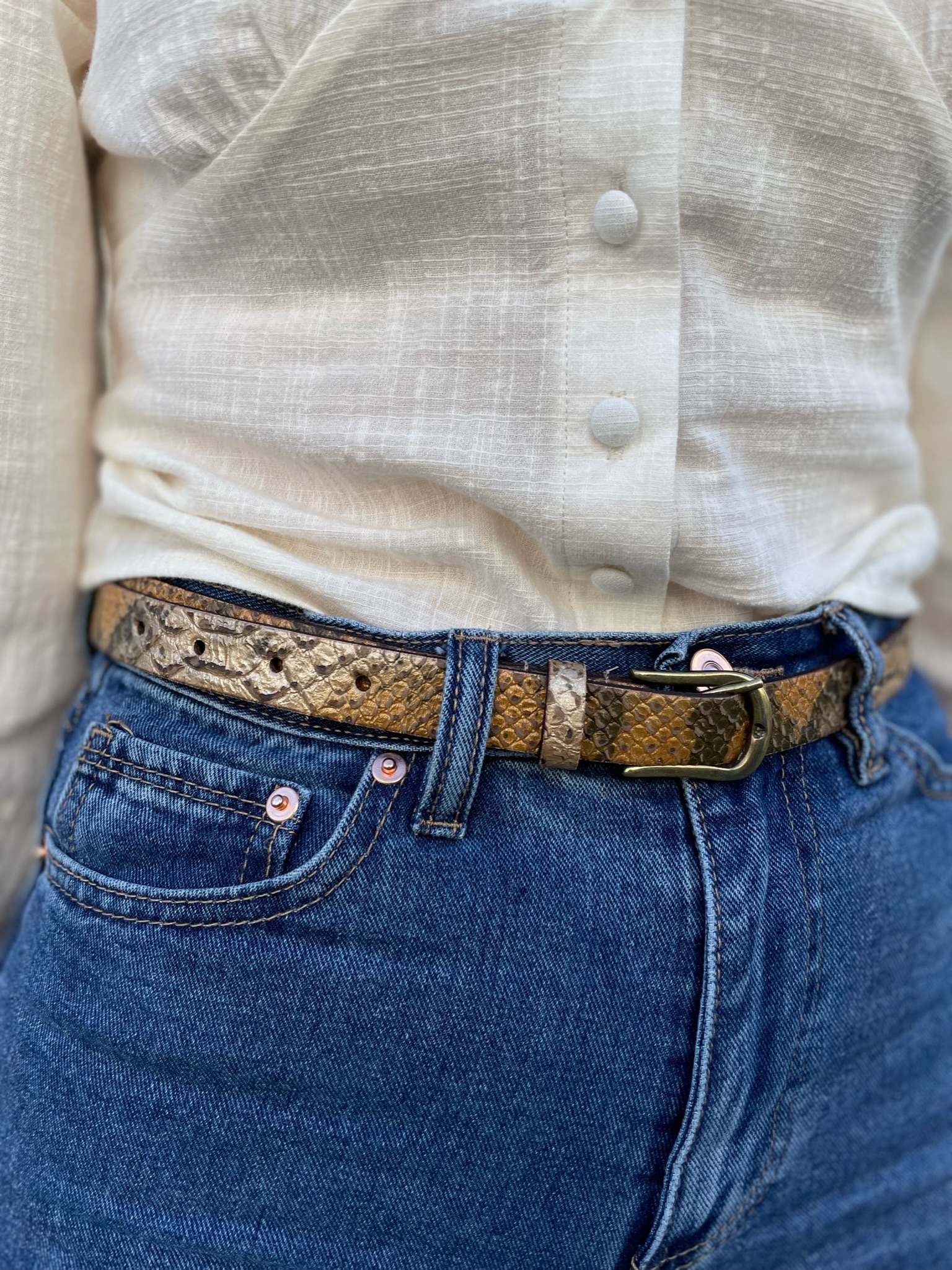 Python Belt