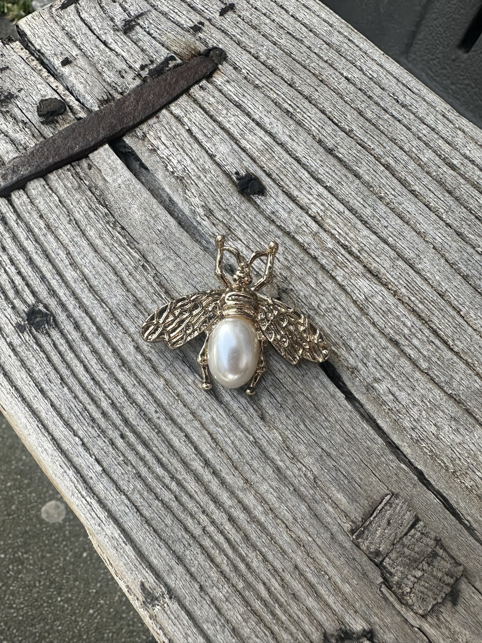 Broche Bij Parel