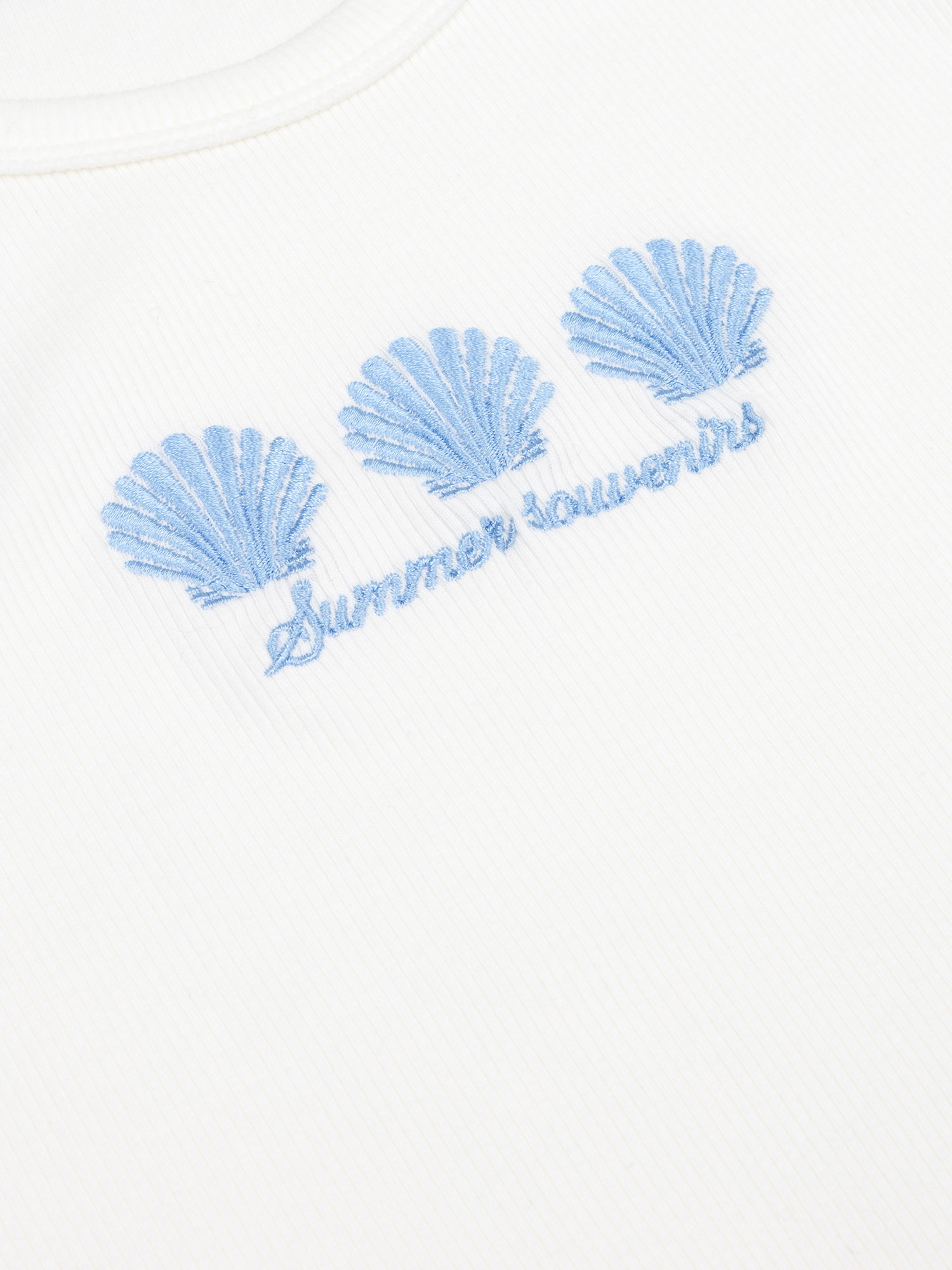 Top Sea Shells